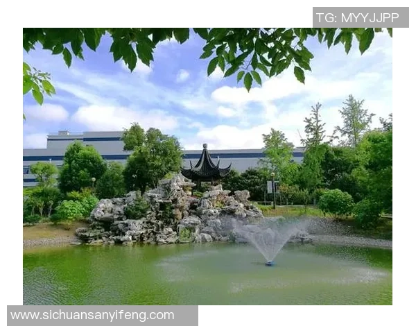 杭州排球队的崛起之路：从默默无闻到世锦赛的荣耀之旅